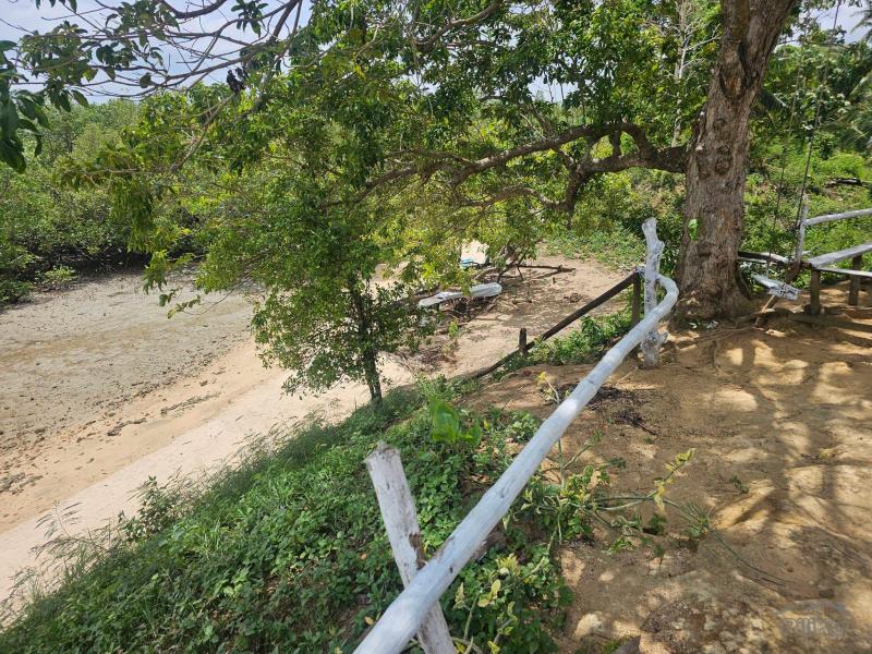 Picture of Agricultural Lot for sale in Buenavista in Bohol