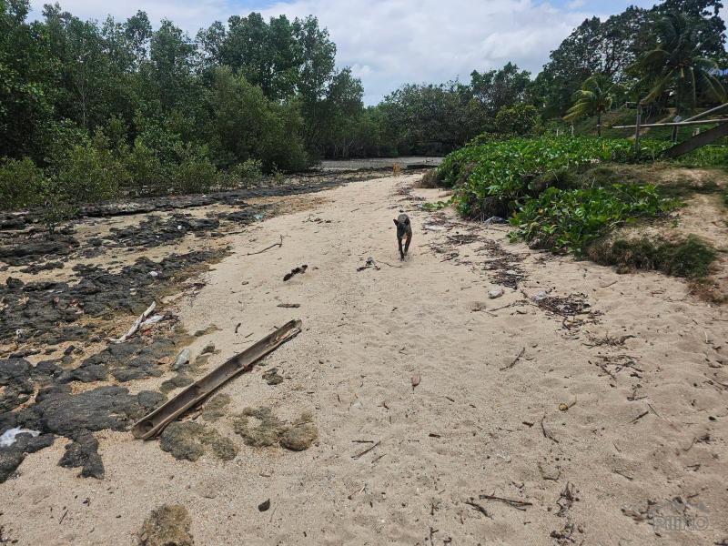 Agricultural Lot for sale in Buenavista in Philippines - image