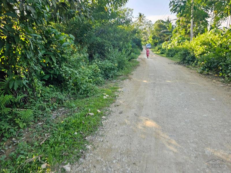 Pictures of Land and Farm for sale in Tubigon