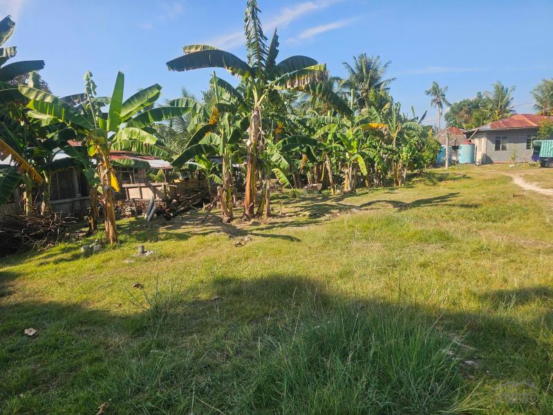 Picture of Residential Lot for sale in Dauis
