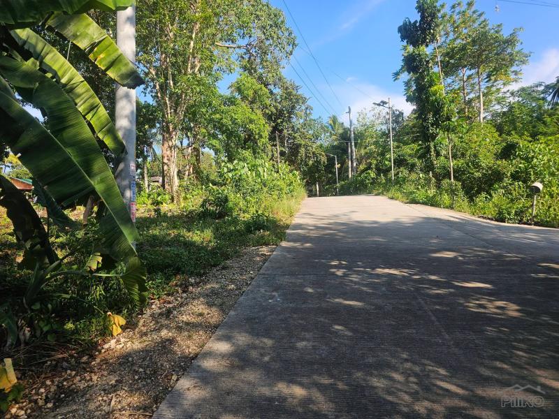 Residential Lot for sale in Dauis - image 3