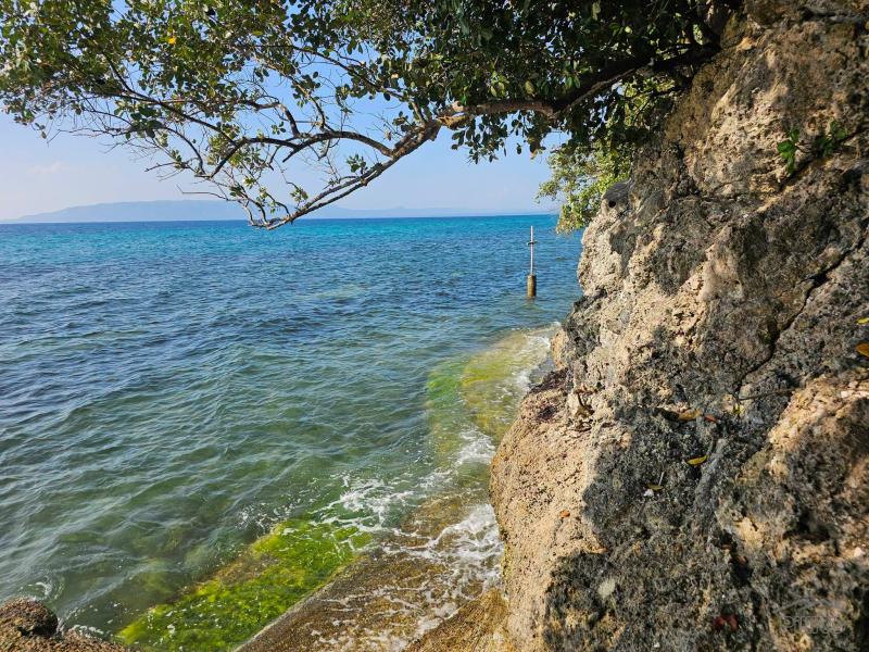 Residential Lot for sale in Dauis - image 5