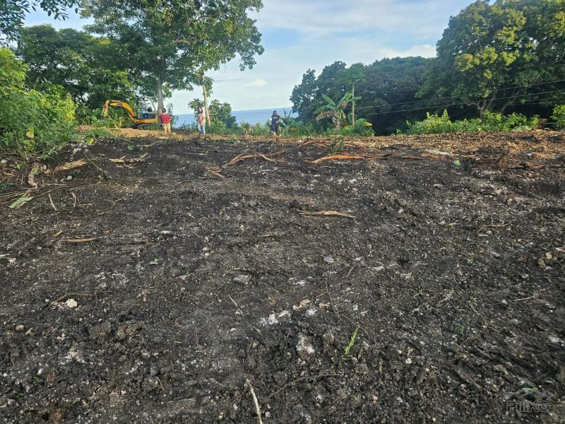 Picture of Residential Lot for sale in Guindulman