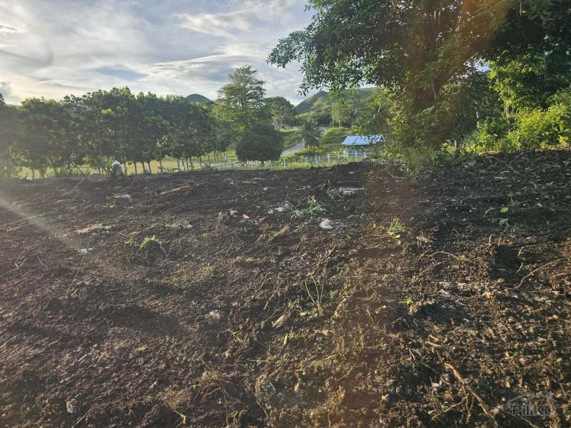 Residential Lot for sale in Guindulman - image 2