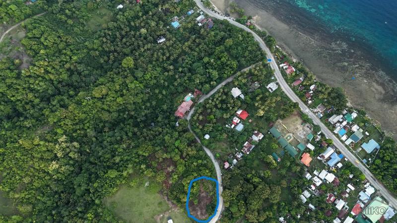 Residential Lot for sale in Guindulman - image 5
