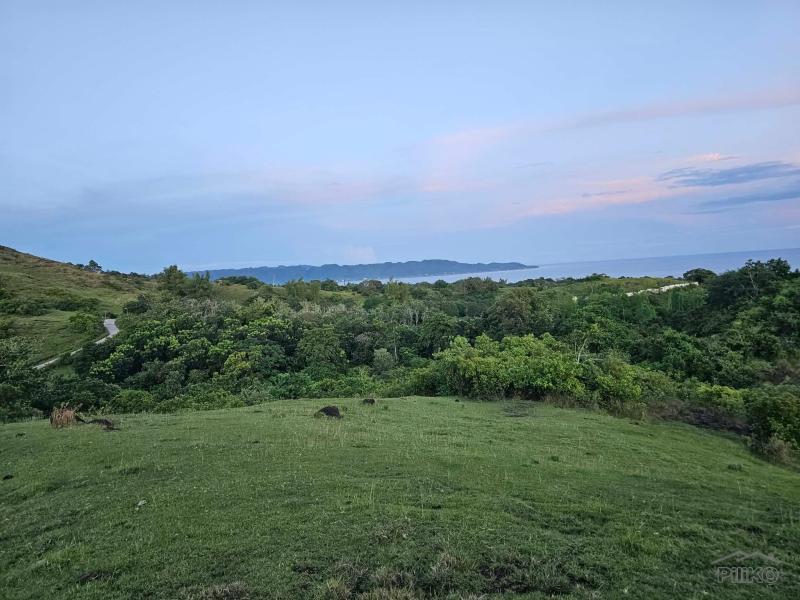 Pictures of Agricultural Lot for sale in Guindulman