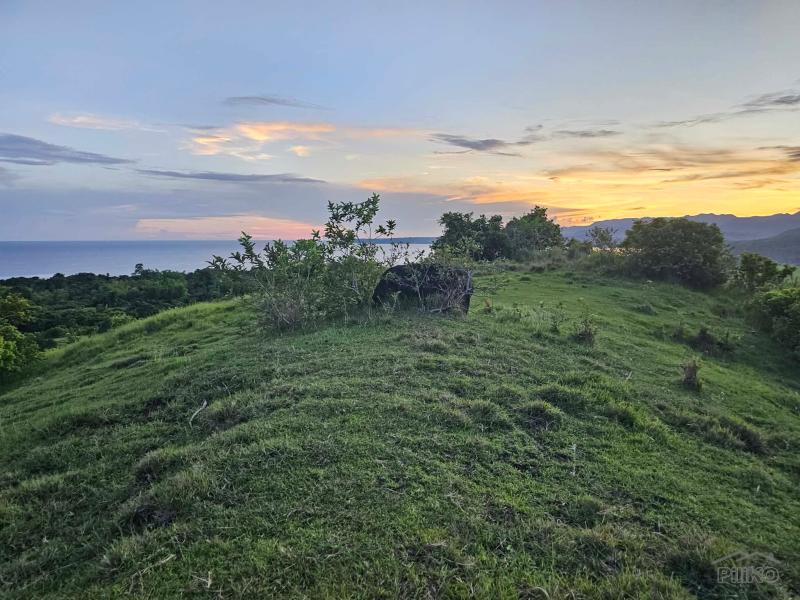 Agricultural Lot for sale in Guindulman - image 2