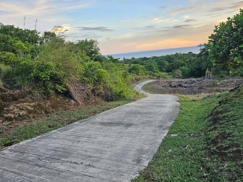 Agricultural Lot for sale in Guindulman - image 3