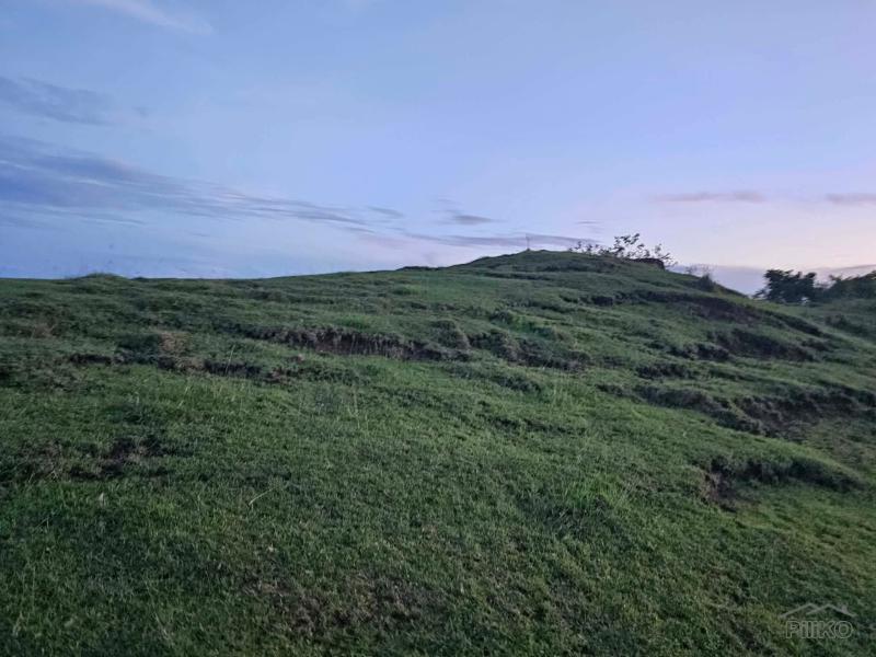 Agricultural Lot for sale in Guindulman - image 4