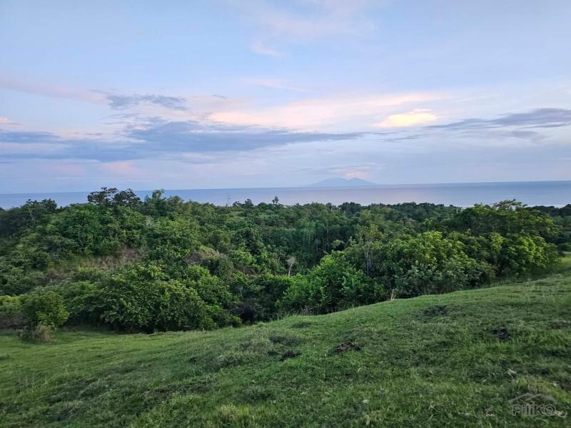 Agricultural Lot for sale in Guindulman - image 5