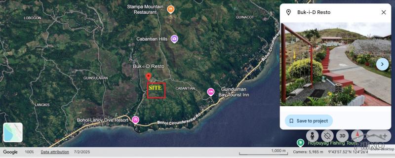 Agricultural Lot for sale in Guindulman - image 7
