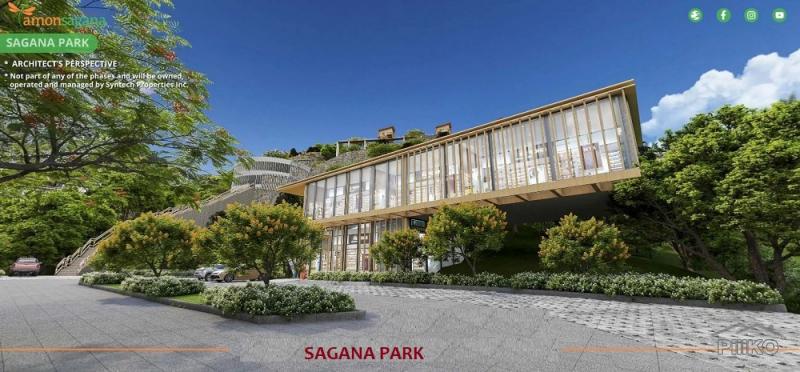 Residential Lot for sale in Balamban - image 3