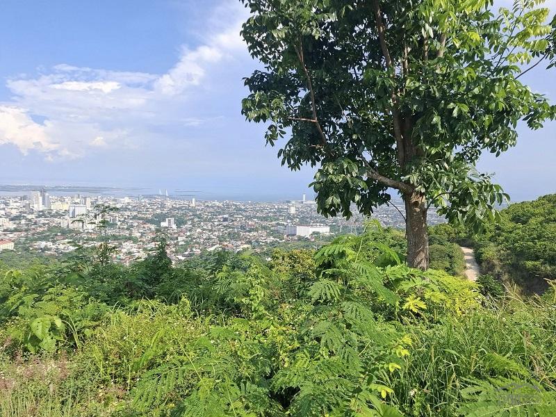 Residential Lot for sale in Cebu City - image 4