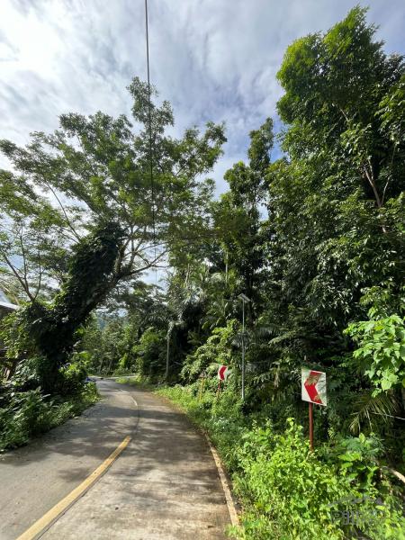 Residential Lot for sale in Loboc - image 14