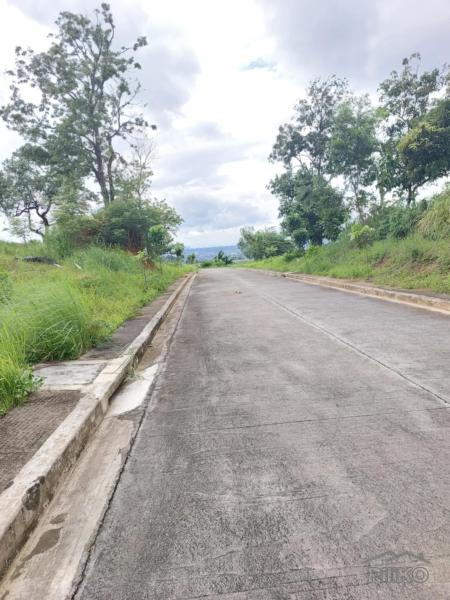 Residential Lot for sale in Antipolo in Rizal