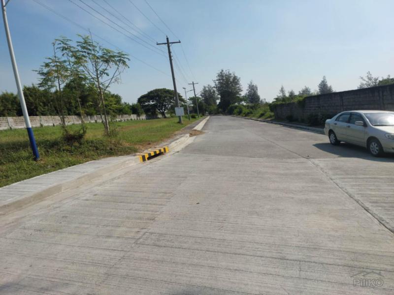 Residential Lot for sale in Santo Tomas - image 2