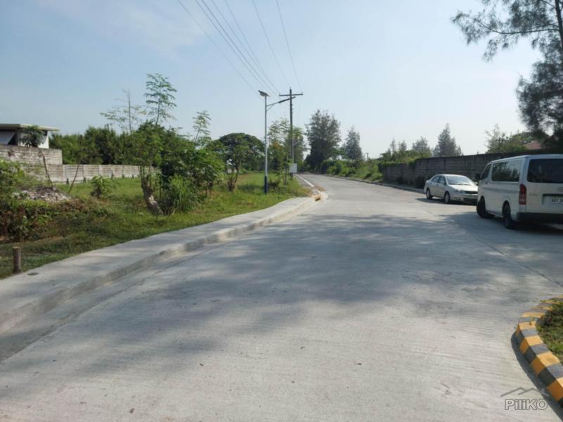 Residential Lot for sale in Santo Tomas - image 4