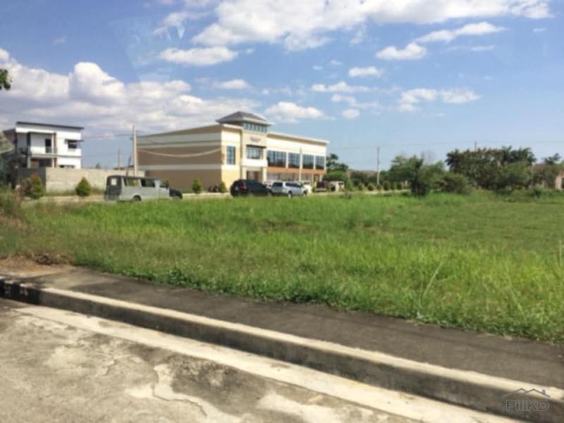 Residential Lot for sale in Cabanatuan - image 4