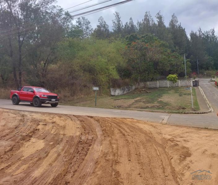 Residential Lot for sale in Subic in Zambales