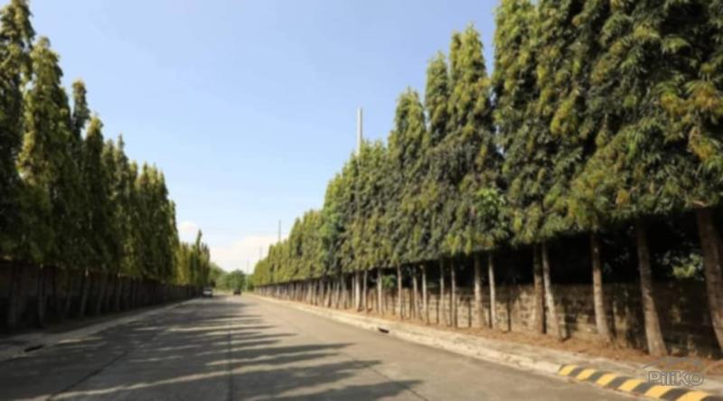 Residential Lot for sale in Plaridel - image 3