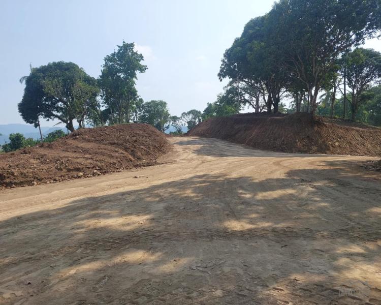 Residential Lot for sale in Mabitac - image 2