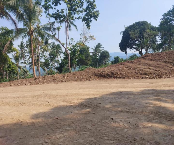 Residential Lot for sale in Mabitac - image 3