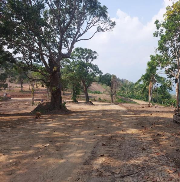 Picture of Residential Lot for sale in Mabitac