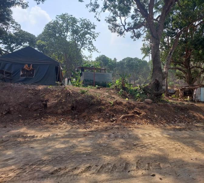 Residential Lot for sale in Mabitac in Laguna