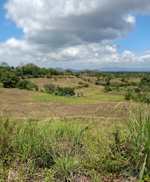 Residential Lot for sale in Alfonso - image 2