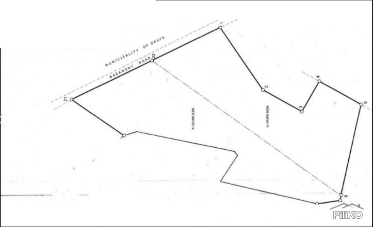 Agricultural Lot for sale in Panglao - image 2