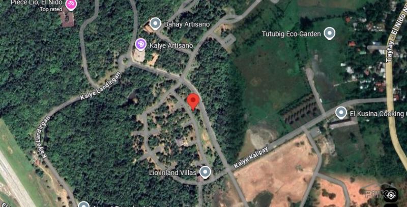 Residential Lot for sale in El Nido - image 2