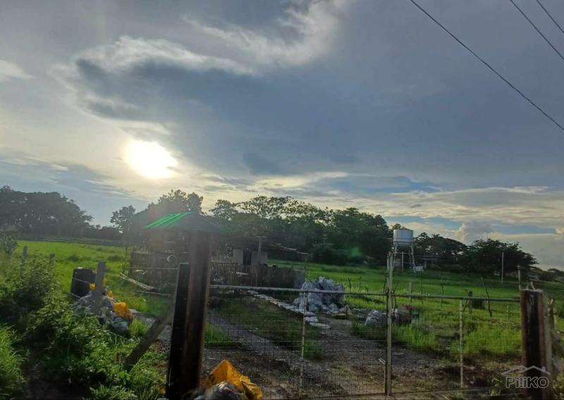 Agricultural Lot for sale in Rosario - image 3