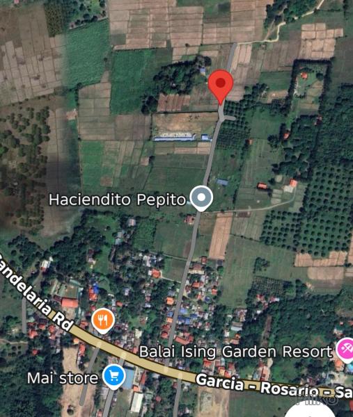 Agricultural Lot for sale in Rosario - image 4