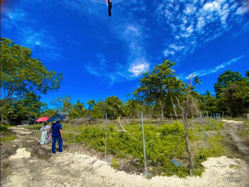 Lot for sale in Panglao - image 2