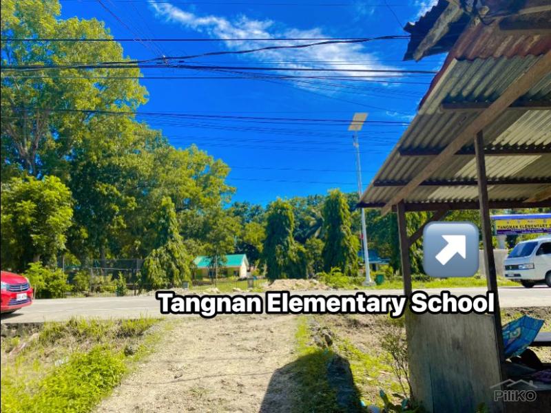 Lot for sale in Panglao - image 3