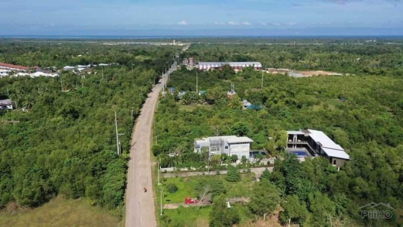Residential Lot for sale in Panglao - image 2