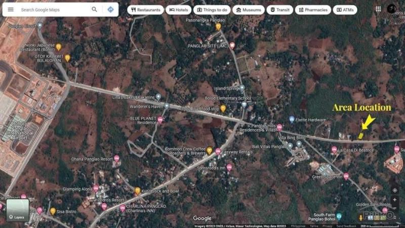 Residential Lot for sale in Panglao - image 3