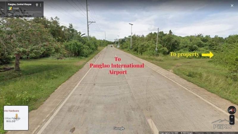 Residential Lot for sale in Panglao - image 4