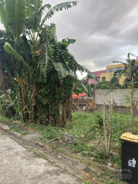 Residential Lot for sale in Santa Rosa in Philippines