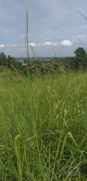 Picture of Residential Lot for sale in San Mateo