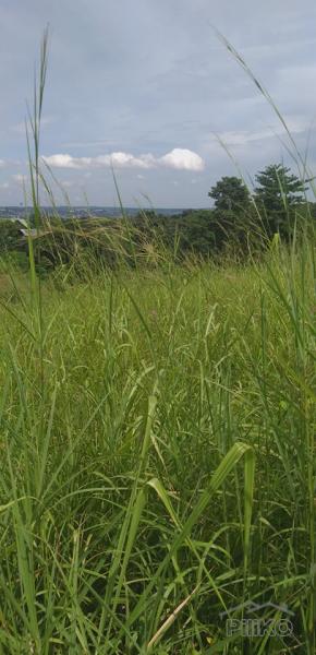 Residential Lot for sale in San Mateo - image 3