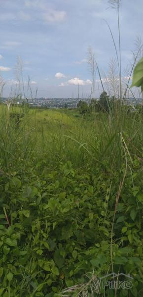 Picture of Residential Lot for sale in San Mateo in Philippines