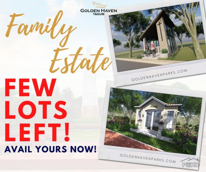 Lot for sale in Tagum - image 2