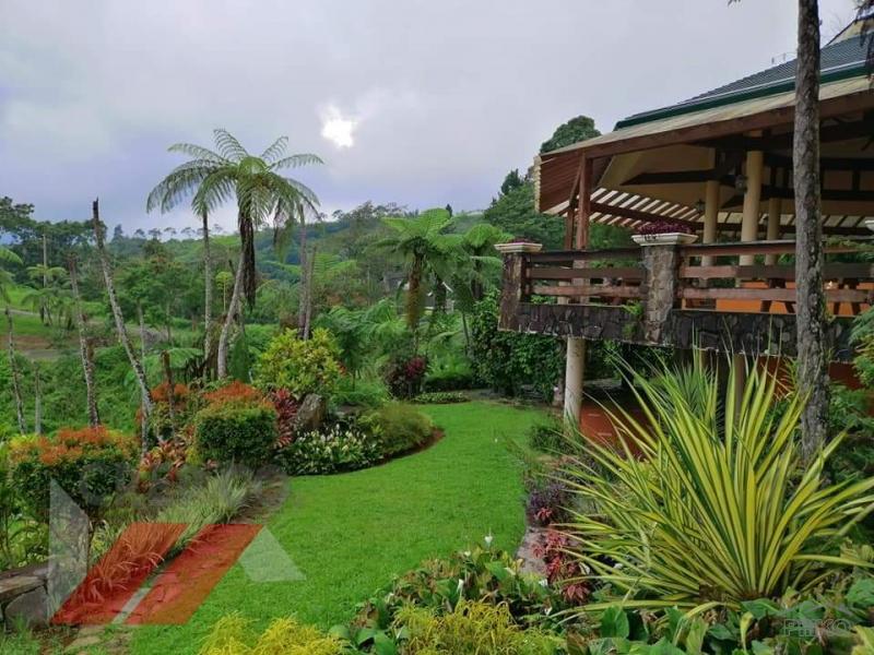 Residential Lot for sale in Davao City - image 10