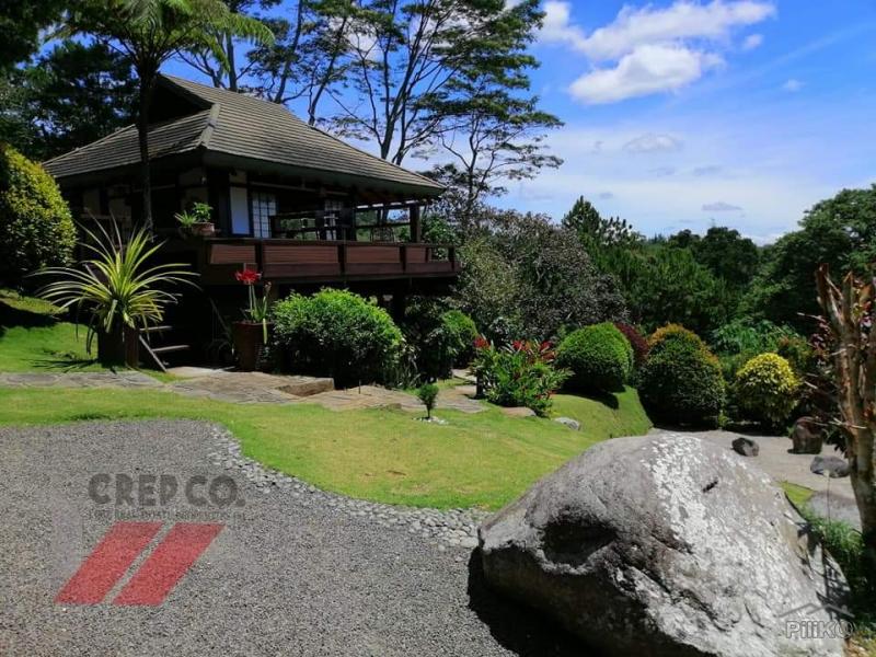 Pictures of Residential Lot for sale in Davao City