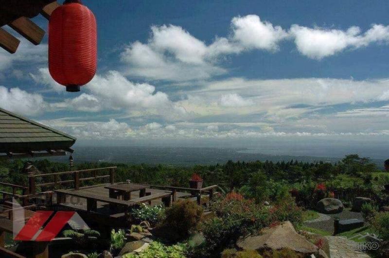Residential Lot for sale in Davao City - image 3