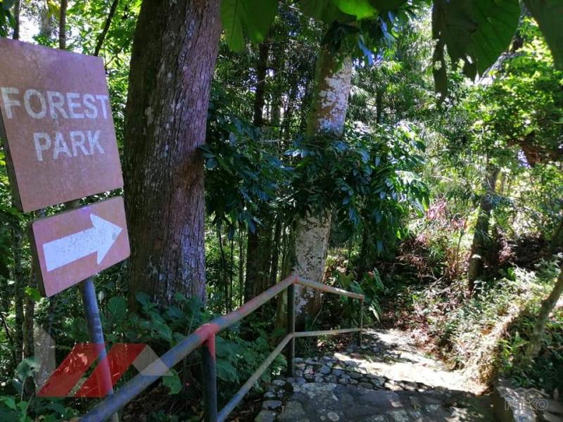 Residential Lot for sale in Davao City - image 9