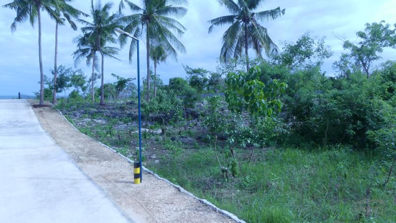 Residential Lot for sale in Alcoy - image 10