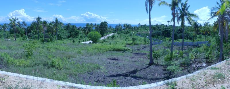 Residential Lot for sale in Alcoy in Cebu