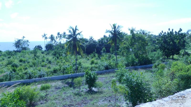Residential Lot for sale in Alcoy - image 4